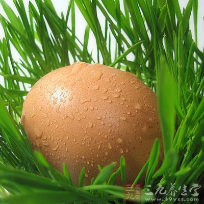 經常食用雞蛋，可增強記憶