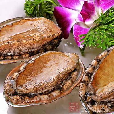 鮑魚的營養價值極為豐富，含有二十種氨基酸