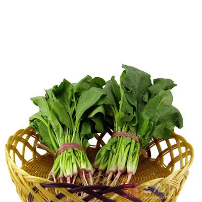 菠菜――補血利便 菠菜――補血利便