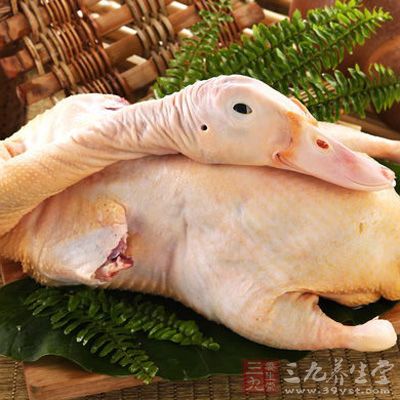 新鮮的光鴨400g