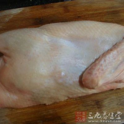 涼菜，俗稱冷葷或冷盤