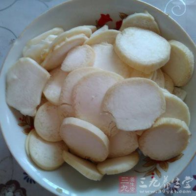 雞腿菇切片備用 雞腿菇切片備用