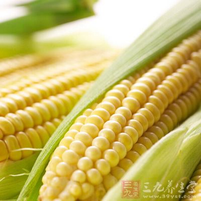 玉米的適用人群一般人群均可食用