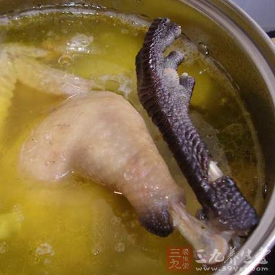 清炖雞湯的做法 清炖雞湯的做法