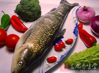 新鮮的草魚500克