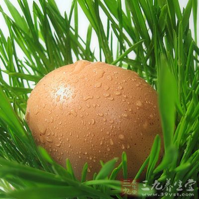 雞蛋又是較好的健腦食品