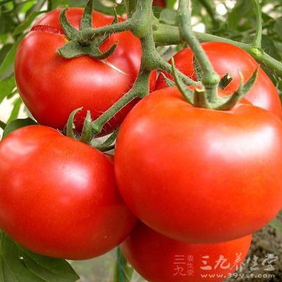 西紅柿去皮更入味，包括任何西紅柿類菜系都可以去皮