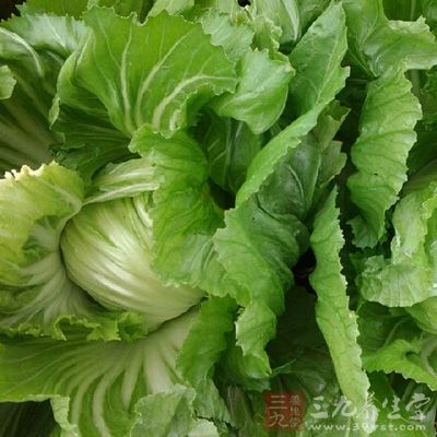 新鮮的芥菜400g