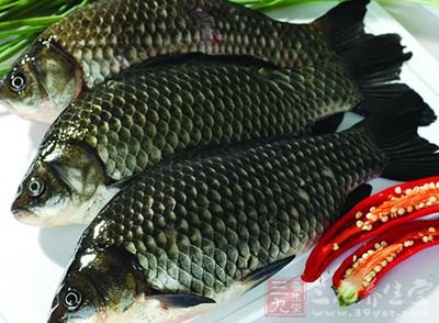 鲫魚含有全面而優質的蛋白質