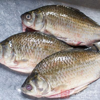 鲫魚洗淨瀝干備用