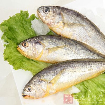 黃魚含有豐富的蛋白質、礦物質和維生素