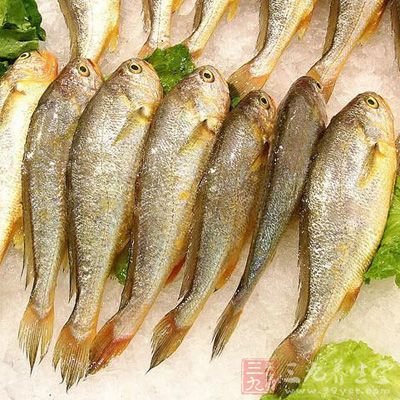新鮮的小黃魚7條