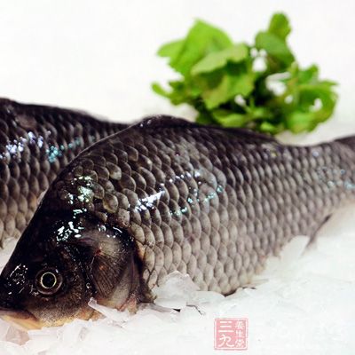 食品用料：鲫魚1條
