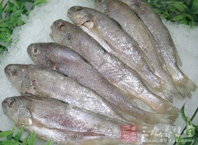 先把小黃魚清洗干淨,然後再晾干水分 先把小黃魚清洗干淨,然後再晾干水分