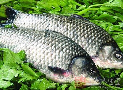 食材：鲫魚400克，豆腐400克