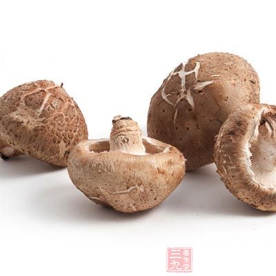 下南瓜苗和香菇，接著煲5分鐘