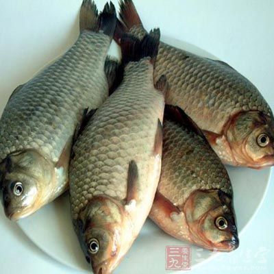 鲫魚去內髒，去鱗去鰓完全弄掉腔內的黑色的膜