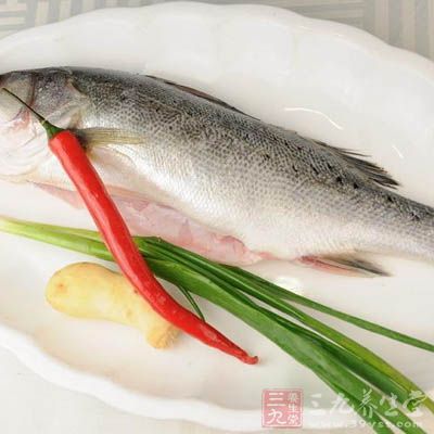 鲈魚的營養價值