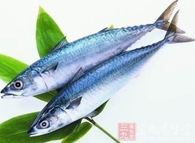鲅魚一條(兩斤左右)