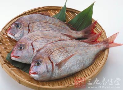 在孕前應多食用魚類