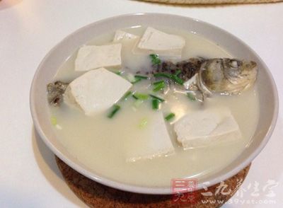 鲫魚頭豆腐湯