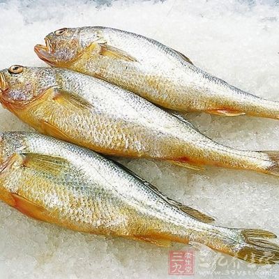黃花魚含有豐富的蛋白質、微量元素和維生素