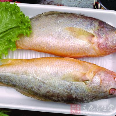 黃魚富含碘、磷、鐵、鈣、脂肪