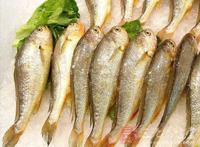 小黃魚又名小黃花魚