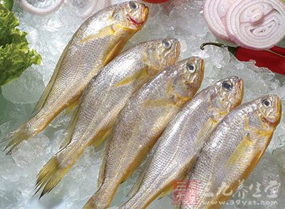 黃花魚又稱石首魚、石頭魚、江魚、黃魚、黃爪魚、桂花黃魚