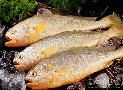 黃花魚又名黃魚