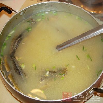 炖泥鳅湯的做法