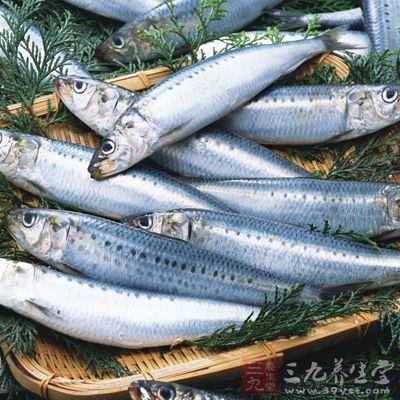 沙丁魚富含磷脂即OMEGA-3脂肪酸、蛋白質和鈣 沙丁魚富含磷脂即OMEGA-3脂肪酸、蛋白質和鈣