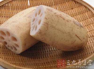 新鮮的蓮藕1節