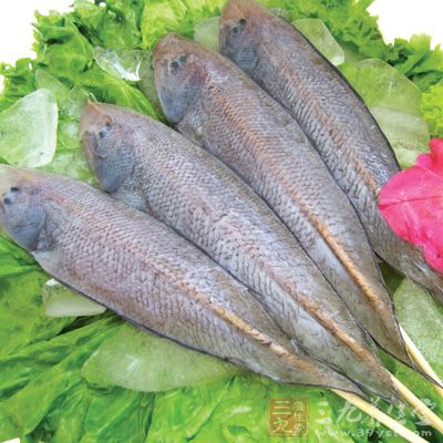 材料：新鮮的龍利魚柳500g