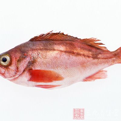原料:淨斑魚300克 原料:淨斑魚300克