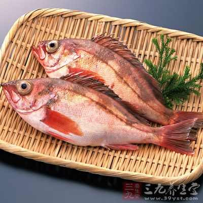 石斑魚的營養價值 石斑魚的營養價值