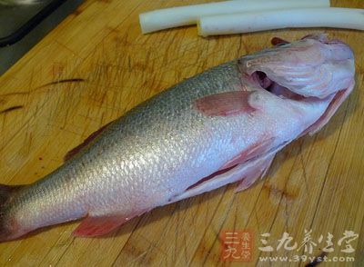 將新鮮的鲈魚處理干淨