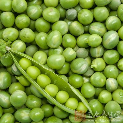 綠豆煮湯有消暑益氣、清熱解毒等食療功效