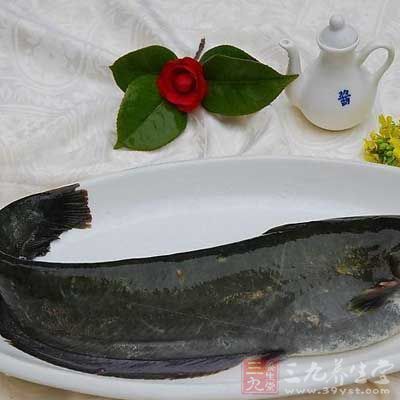 鲶魚半條洗淨