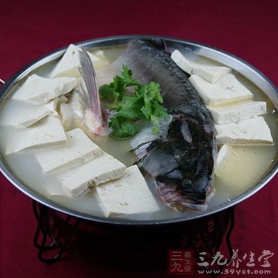 魚頭豆腐做法很簡單 魚頭豆腐做法很簡單