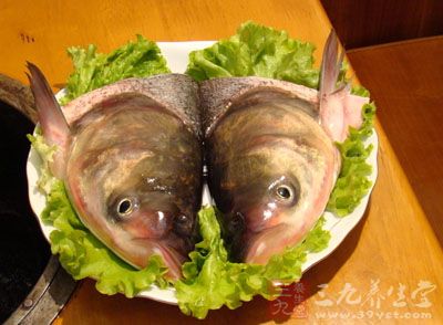 材料:胖頭魚頭1個(約2斤)、香蔥1根、姜3片、剁椒230克、鹽1/2茶匙 材料:胖頭魚頭1個(約2斤)、香蔥1根、姜3片、剁椒230克、鹽1/2茶匙
