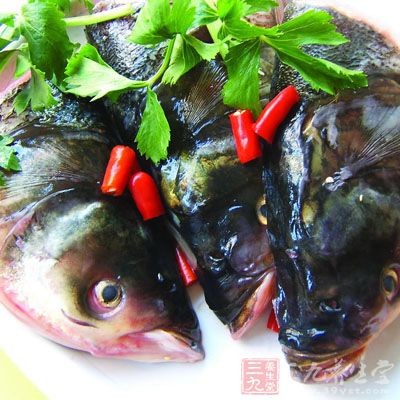 魚頭不宜高溫猛炸，油溫控制在六成熱左右即可，否則容易破壞魚頭的營養