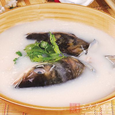 清炖鲢魚頭 清炖鲢魚頭