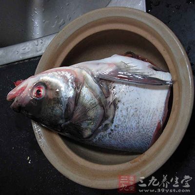 將鲢魚頭挖鰓洗淨,用刀劈成兩片 將鲢魚頭挖鰓洗淨,用刀劈成兩片