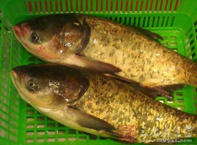 准備花鲢魚500克 准備花鲢魚500克