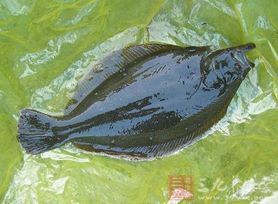 鴉片魚是一種俗稱,它屬硬骨魚綱鲽形目 鴉片魚是一種俗稱,它屬硬骨魚綱鲽形目