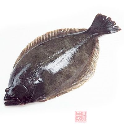 鲽魚味甘,性平,無毒 鲽魚味甘,性平,無毒