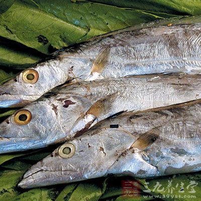 帶魚的營養價值
