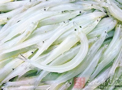 銀魚是極富鈣質、高蛋白、低脂肪食的魚類