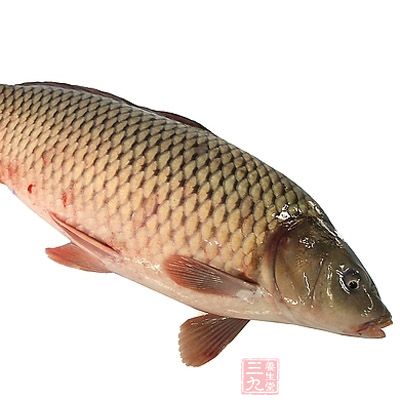 先將魚入水汆一下,去其醒雜味撈出,再投入熱油中一煎撈出 先將魚入水汆一下,去其醒雜味撈出,再投入熱油中一煎撈出